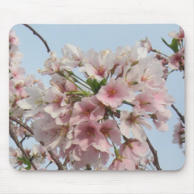Mousepad Flor de cerejeira (Frente)