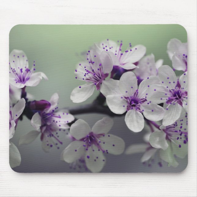 Mousepad Flor de cerejeira bonita (Frente)
