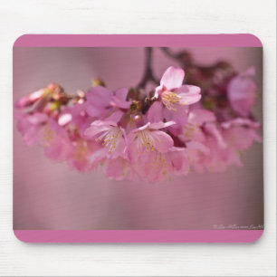 Mousepad Flor de Cerejeira Fonte Termal  2012 Roupas  & Pre