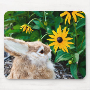 Mousepad flor de cheiramento de coelho