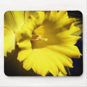 Mousepad Flor de Daffodilo Amarelo
