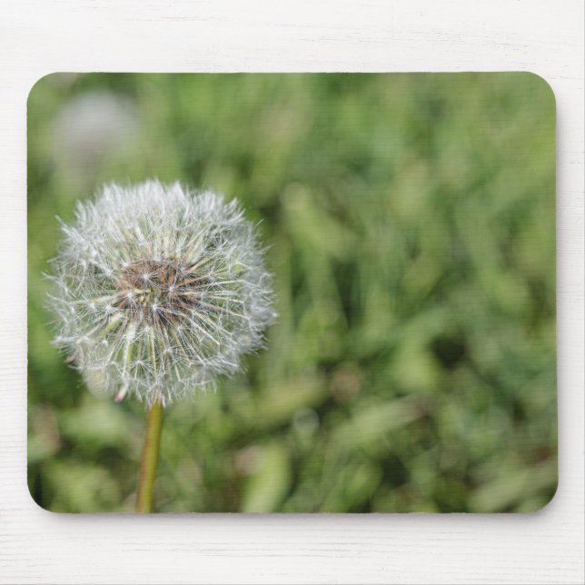 Mousepad Flor de dandelion branco sobre grama verde (Frente)