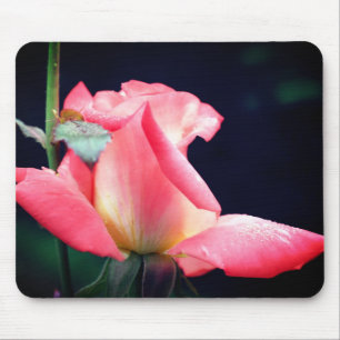 Mousepad Flor de Delícia do Rosebud Rosa