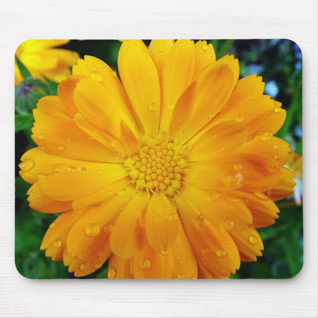 Mousepad flor de gerbera amarela (Frente)