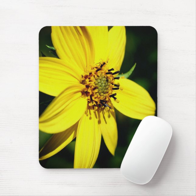 Mousepad Flor de Girassol Máximo (Com mouse)