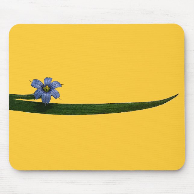 Mousepad Flor de grama de olhos azuis e folha (Frente)