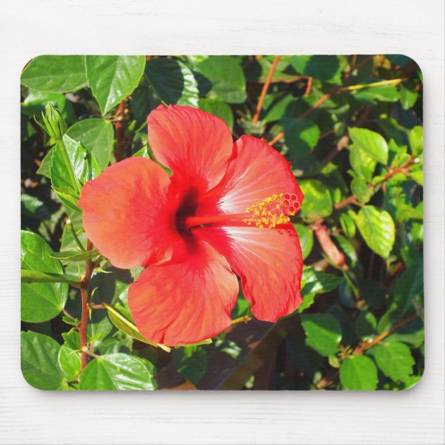 Mousepad Flor de hibisco (Frente)