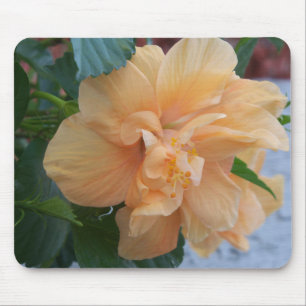 Mousepad Flor de hibisco laranja