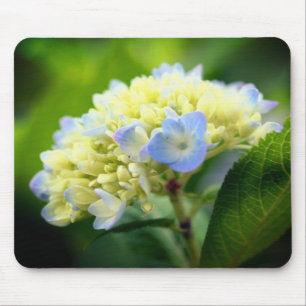 Mousepad Flor de Hidrangea Suave