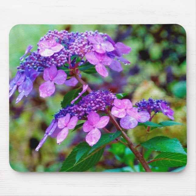 Mousepad Flor de Hortênsia Roxa Twist and Shout (Frente)