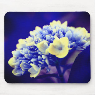 Mousepad Flor de Hydrangea Azul vívido