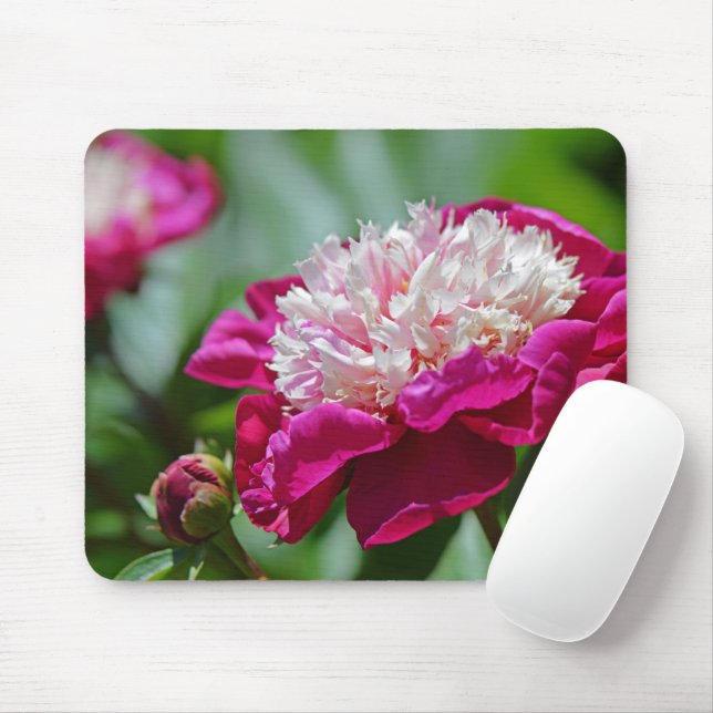 Mousepad Flor de Jardim Botânico de Casca Rosa (Com mouse)
