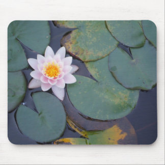Mousepad Flor de Lotus