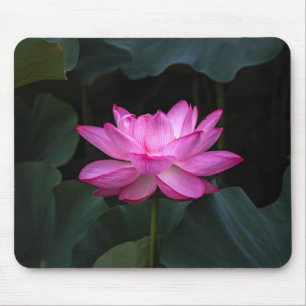 Mousepad Flor de Lotus