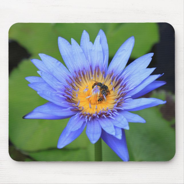 Mousepad Flor de lótus (Frente)