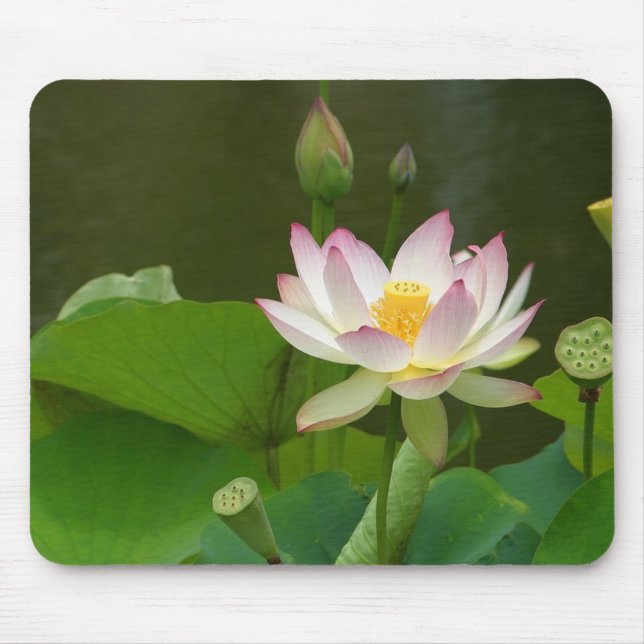 Mousepad Flor de Lotus (Frente)