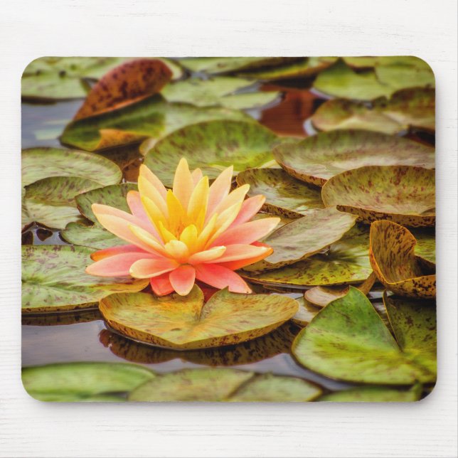 Mousepad Flor de Lotus do pêssego (Frente)