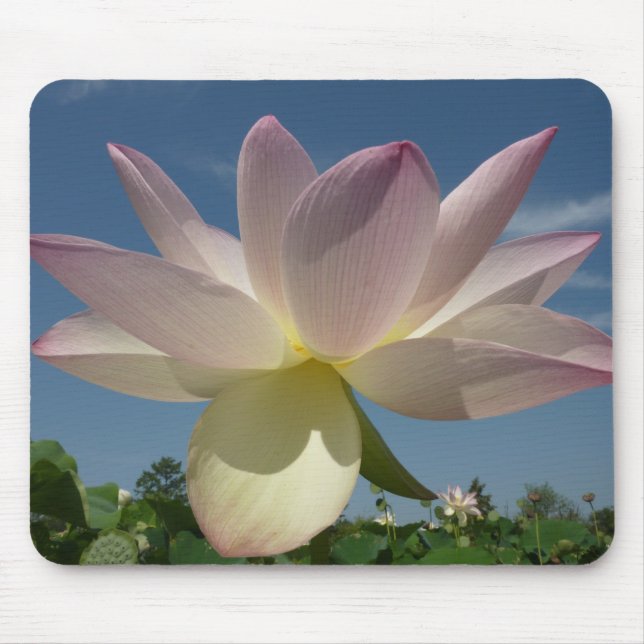Mousepad Flor de Lotus e Céu Azul II (Frente)