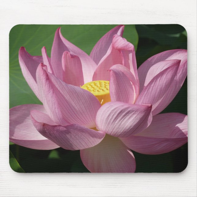 Mousepad Flor de Lotus Rosa IV (Frente)