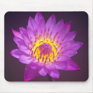 Mousepad Flor de Lotus roxa