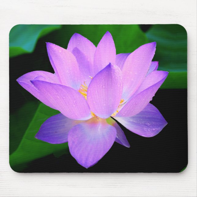 Mousepad Flor de lótus roxa bonita na água (Frente)