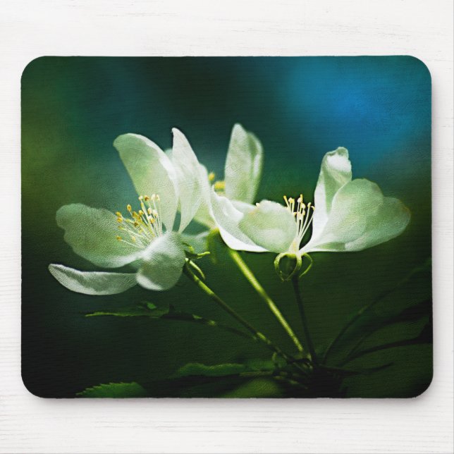 Mousepad Flor de Maçã - Duas Flores (Frente)