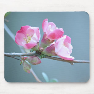 Mousepad Flor de Maçã #P0358