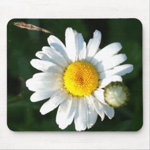 Mousepad Flor de Margarida Branca