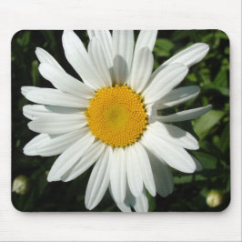 Mousepad flor de margarida branca