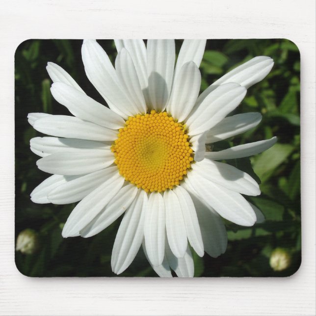 Mousepad flor de margarida branca (Frente)