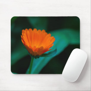 Mousepad Flor de margarida laranja