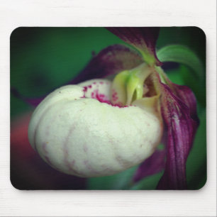 Mousepad Flor de Orquídea Branca