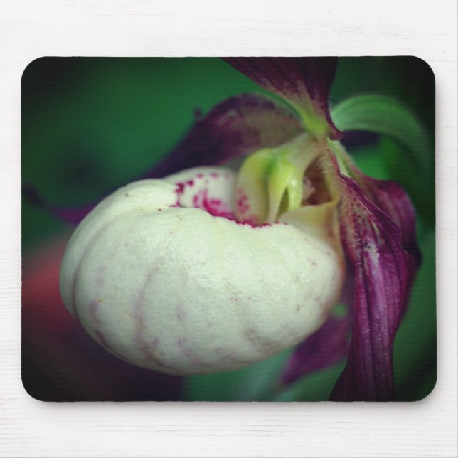 Mousepad Flor de Orquídea Branca (Frente)