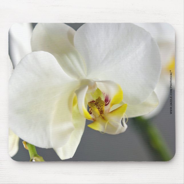 Mousepad Flor de Orquídea Branca (Frente)