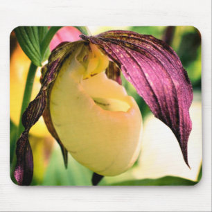 Mousepad Flor de Orquídea Branca