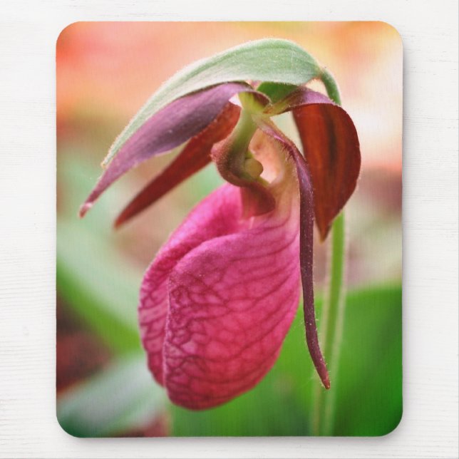 Mousepad Flor de Orquídea de Slipper Rosa Vibrante (Frente)