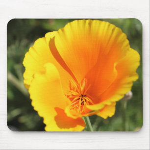 Mousepad Flor de papoila da Califórnia