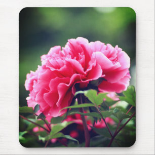 Mousepad Flor de Pedônia Rosa no Jardim-33333