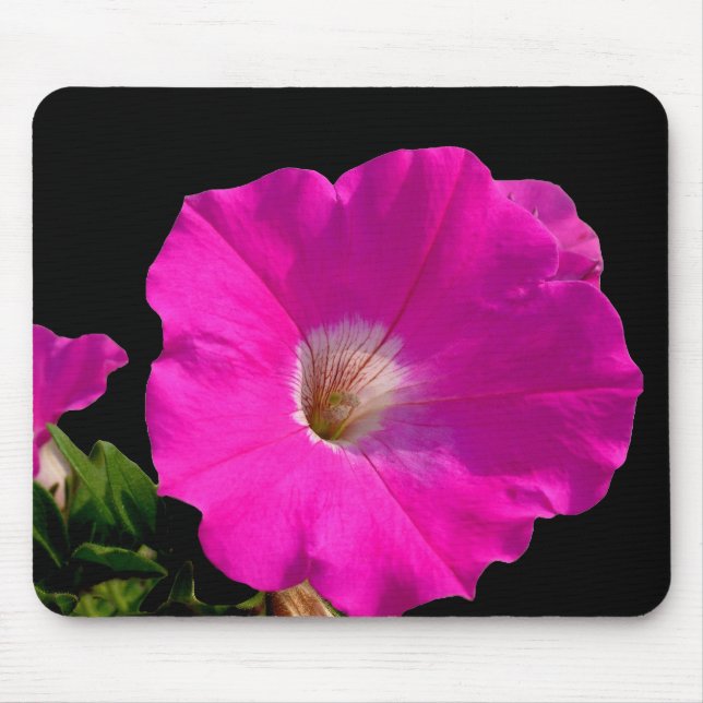 Mousepad Flor de Petúnia Rosa (Frente)