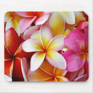 Mousepad Flor de Plumeria Mistura, Amarelo-Rosa