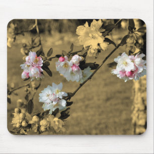 Mousepad Flor De primavera Na Sépia