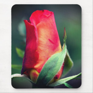 Mousepad Flor de Rosebud Amarelo Vermelho