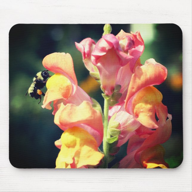 Mousepad Flor De Snapdragon E Abelhas De Bumble (Frente)