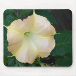 Mousepad flor de trombeta de anjos dourados de perto