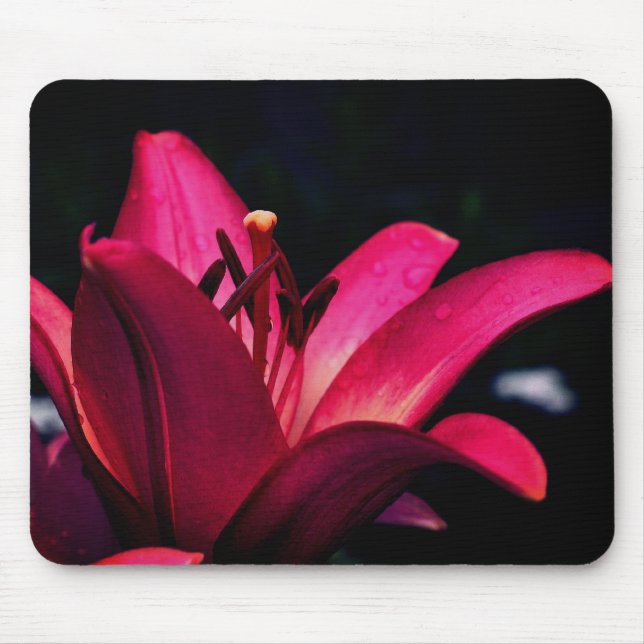 Mousepad Flor Diário Intenso (Frente)