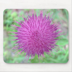 Mousepad Flor do cardo