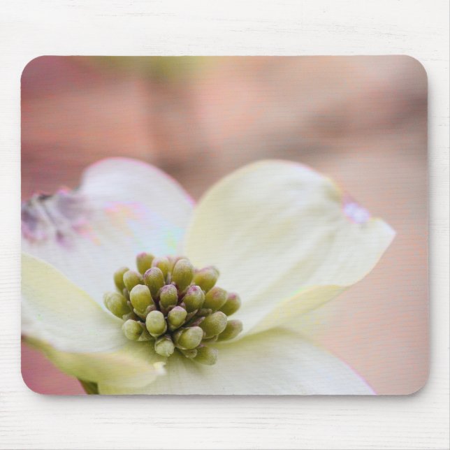 Mousepad Flor do Dogwood (Frente)
