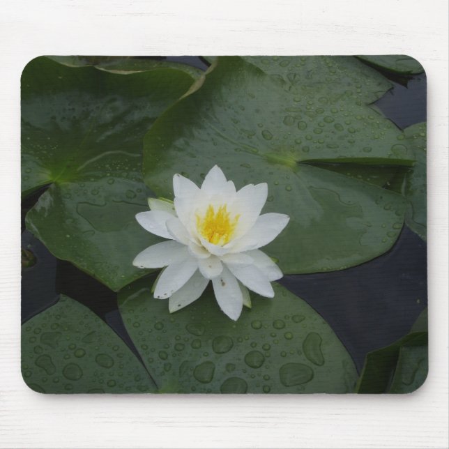 Mousepad Flor do lírio em almofadas de lírio (Frente)