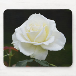 Mousepad Flor do rosa branco