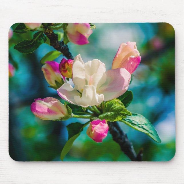 Mousepad Flor e botões de maçarico (Frente)